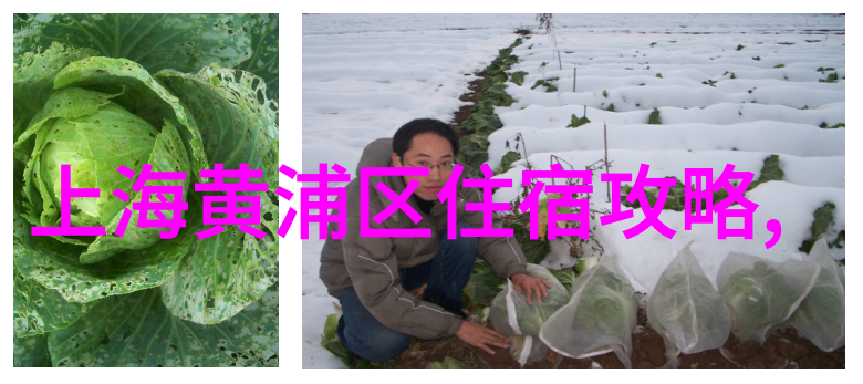 一场时间旅行回顾我三年级的夏天经历