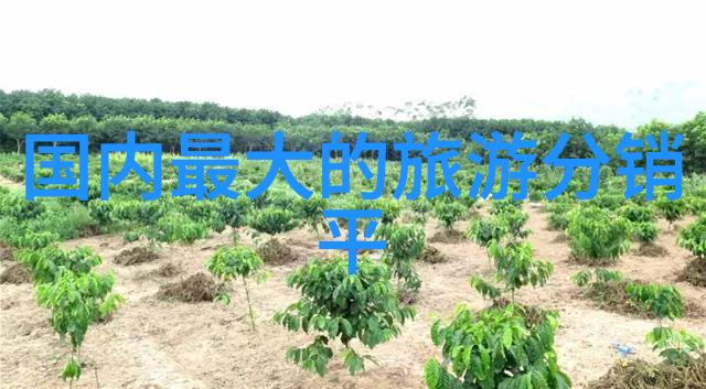 北京必去小吃街-探秘北城最香的巷尾美食行当