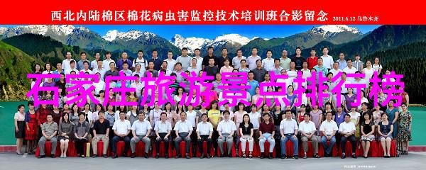 年终趣味活动项目我来帮你规划一场超级有趣的年终聚会