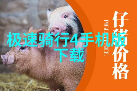 儿童拓展训练项目有哪些开启孩子未来的多元发展