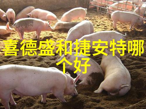 探秘当地发现附近酒店住宿的秘密