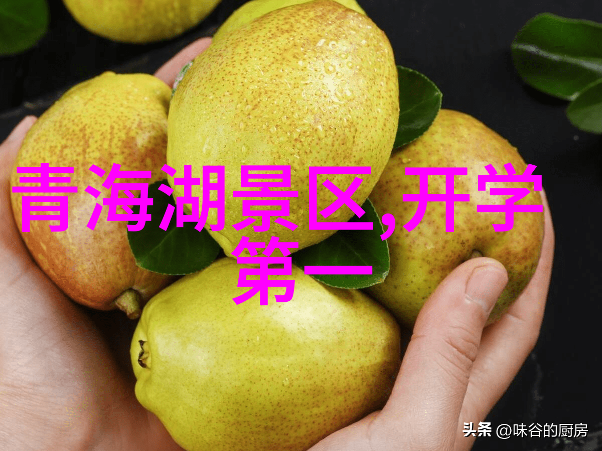 南京哪里的小吃最正宗-寻找南京小吃的真味从夫子庙到秦淮河