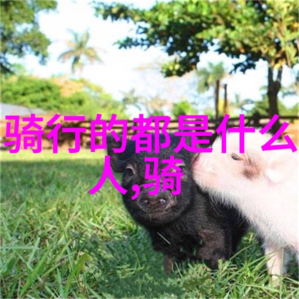 丹麦适合出国的国家之美女首相施密特