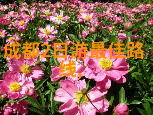 双管齐下体验全新的快感
