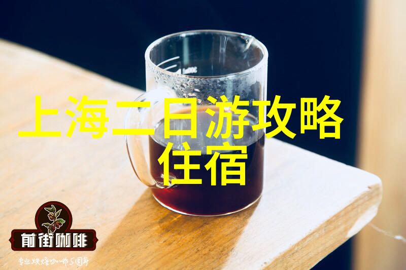 国外游逗笑国内游真不容易异域风情与家园趣事