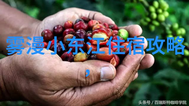 海岛度假胜地为何成为避暑天堂特别是2021年的热门海岛
