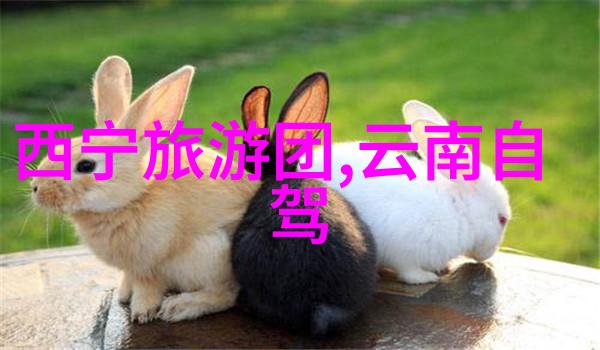 扬州一日游的秘密之地在哪里