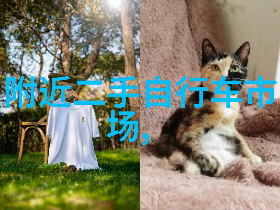 大理旅游攻略探索天蓝海岸与古色古香的美丽都市