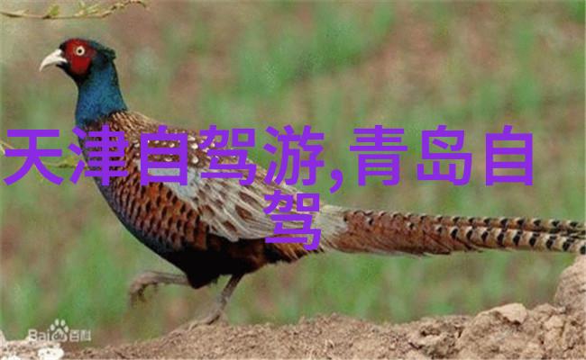 探索世界奇迹一站式旅行指南