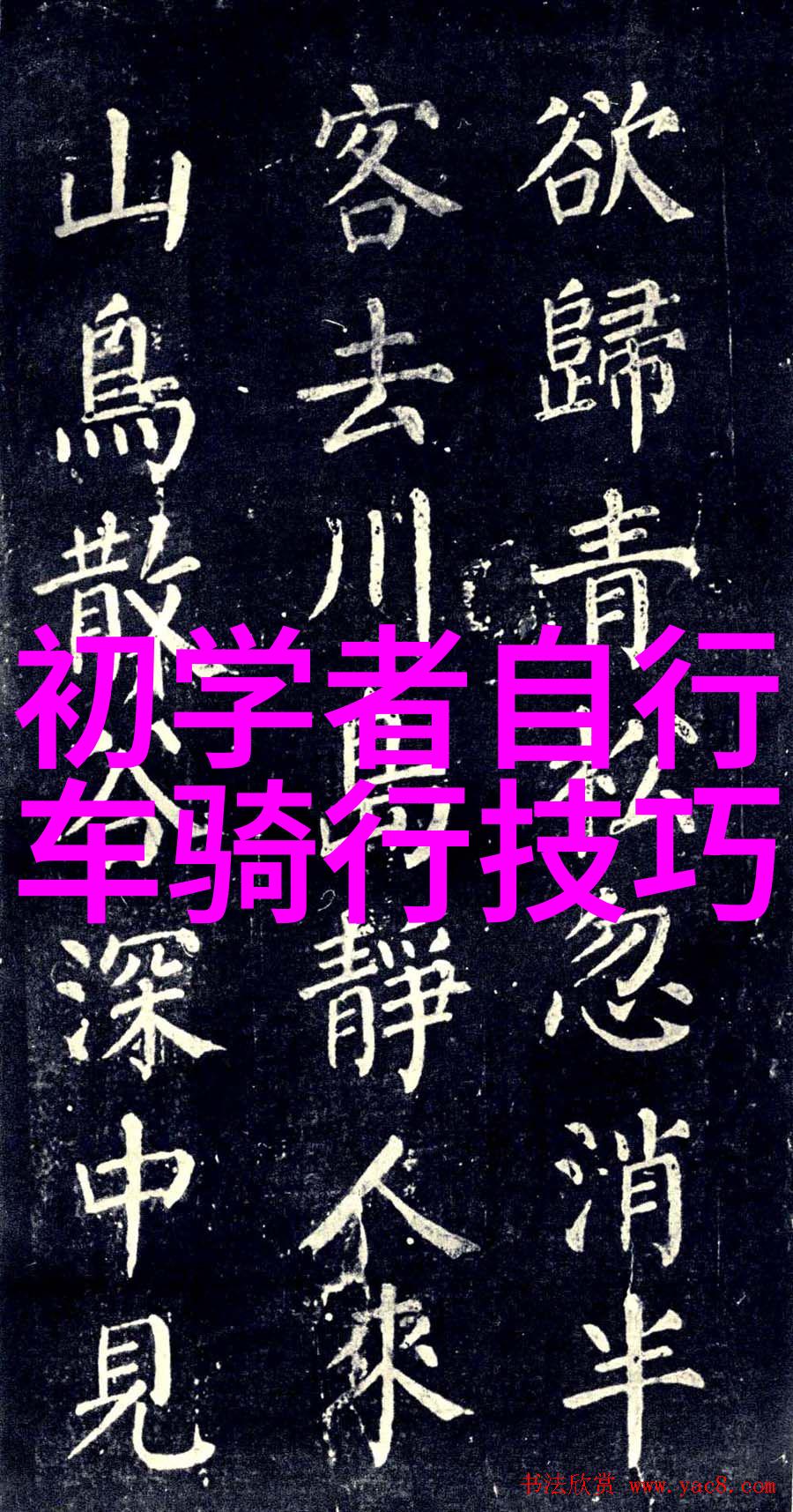 故宫游记作文800字高中作文-紫禁城里的故事我的故宫探秘