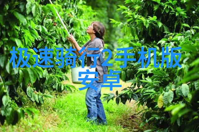 新开启的海底观光带来了什么惊喜