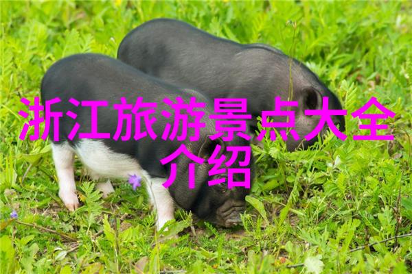 西北路上笑看风云大理之美不输云南