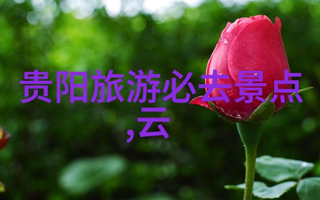 游记徐霞客我是如何跟着徐霞客闯荡四海的