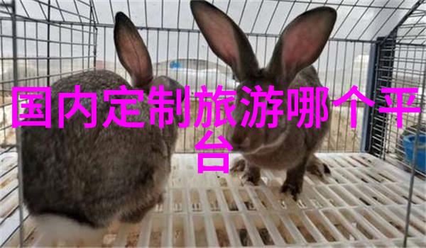 美国必游景点黄石国家公园纽约帝国大厦新奥尔良街头音乐