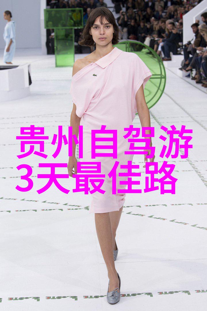 老阿姨的厨房一段情感与味道的交织