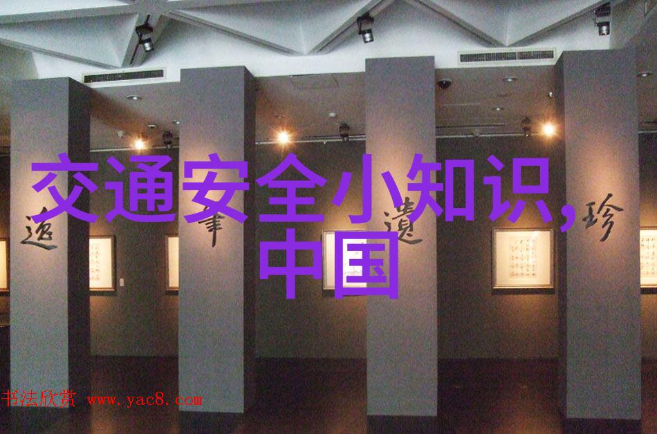 苏州之旅探秘古韵与现代魅力