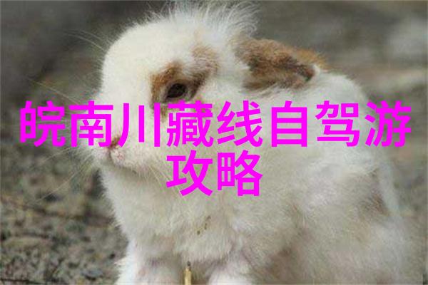北京之旅自驾游的遥望与安寝