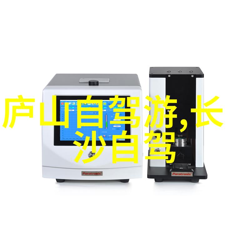 游作文400字海南六朵金箍棒落地离岛免税店开业盛况比喻新篇章