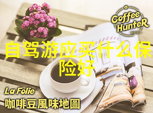 空中冒险热气球与滑翔伞的刺激挑战
