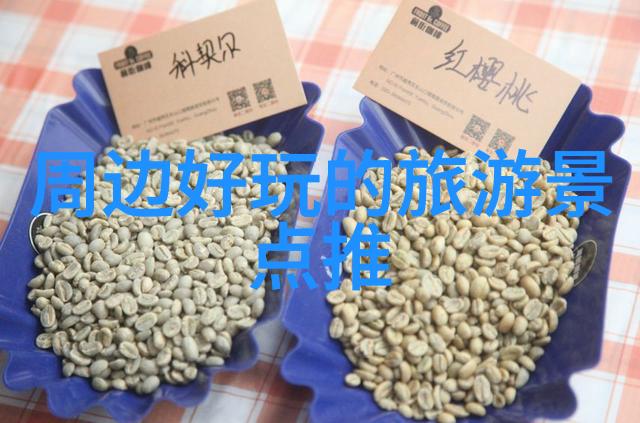 在城市中骑行遇到各种交通状况该怎样处理比较安全呢