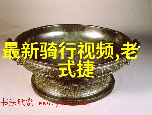 骑行必备装备安全头盔舒适自行车耐用轮胎功能性服装