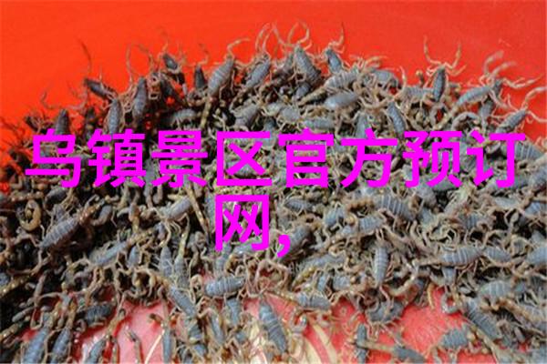中秋假期国内旅游人数激增超8815万深度分析其背后的文化经济与社会因素