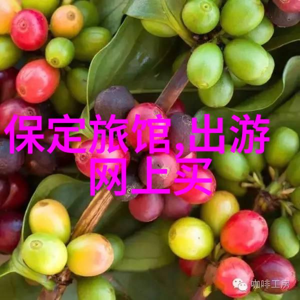 在成都富力丽思卡尔顿酒店的精致氛围中万宝龙与之携手打造了一场名为都市探索的主题下午茶盛宴正如扬州旅游