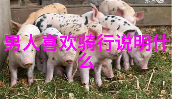 初中生夏令营趣味体验激动人心的青春旅途