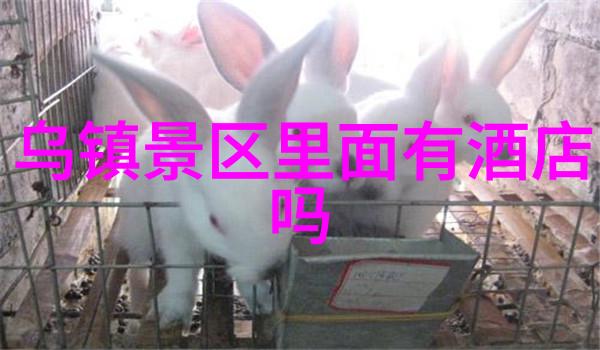 南京旅游攻略去哪里玩比较合适