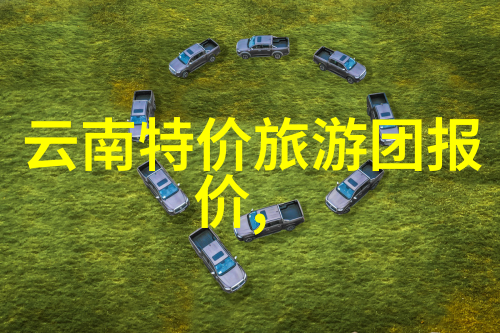 公园中的乐趣源泉哪些游乐设备最受欢迎