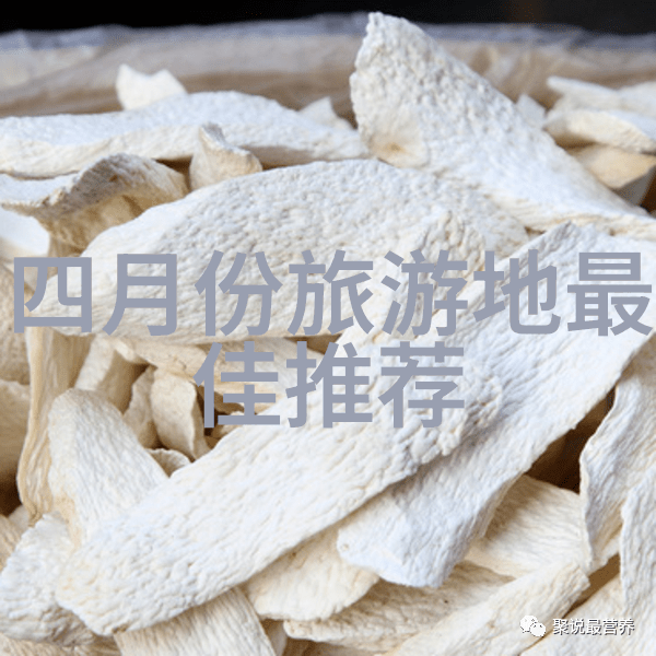 反复探寻嘉兴美食佳肴仿佛走进北京牛街的十大小吃排名榜