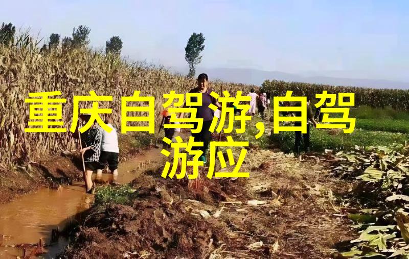旅游攻略大冒险哪个app能让你成为探险王