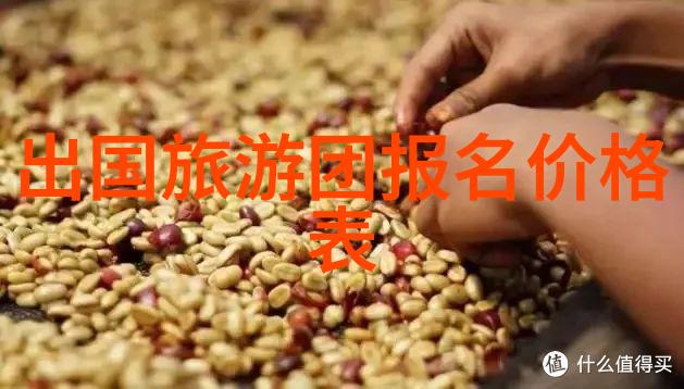 昆明大理丽江游明十三陵秘境藏