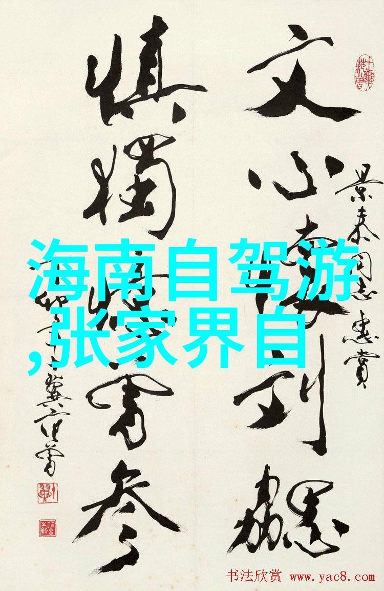 国际边境管控政策调整对跨国旅程有什么影响