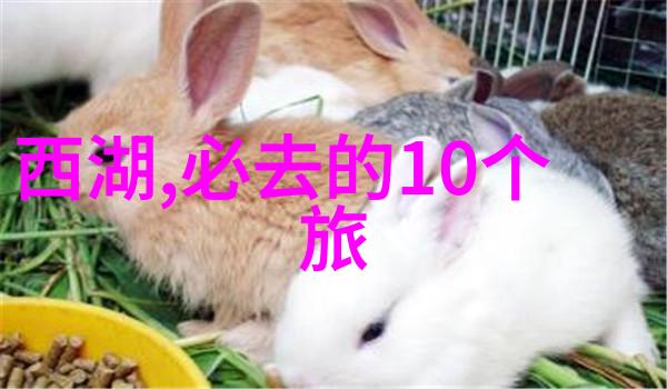 探索身边的奇迹未知角落的旅行启示