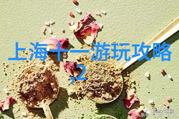 探索未知我的第一趟远足经历