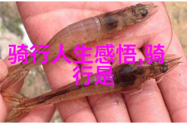 上海美食之冠外滩烤鸭的传统与魅力