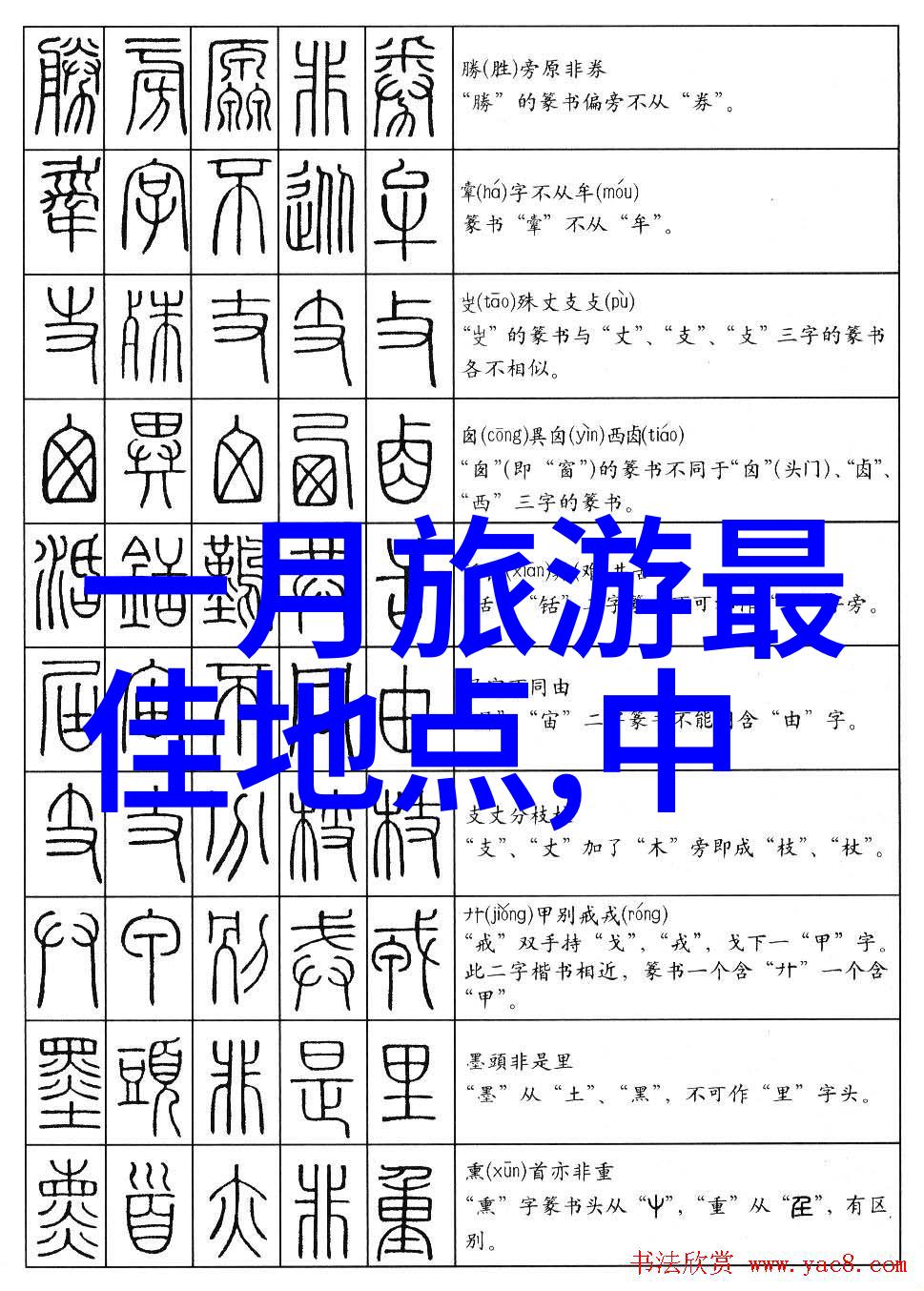 热门拍手游戏