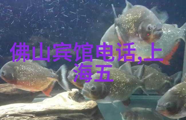 从荒废古迹到热门旅游景点一段奇妙的反差之旅