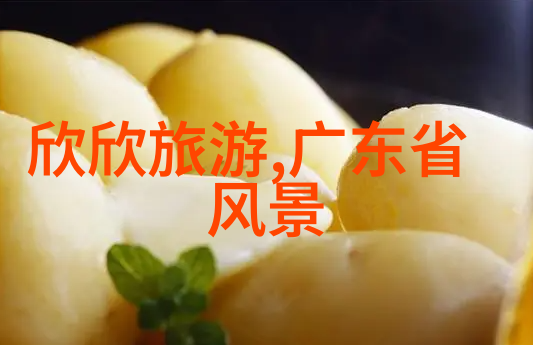 优程集团助力酒店复苏之旅与加盟商携手共创繁荣集团CEO带领队伍绕开封城巡店让每一家旅人都能在这里找到