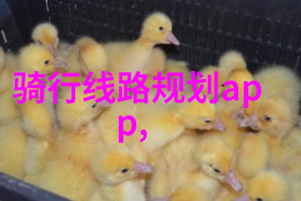 自然风光绘卷中国最适合摄影的自然景观旅行途径设计要点是什么