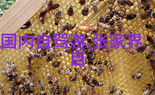 青岛游记追逐海韵拥抱碧波荡漾的三日行程