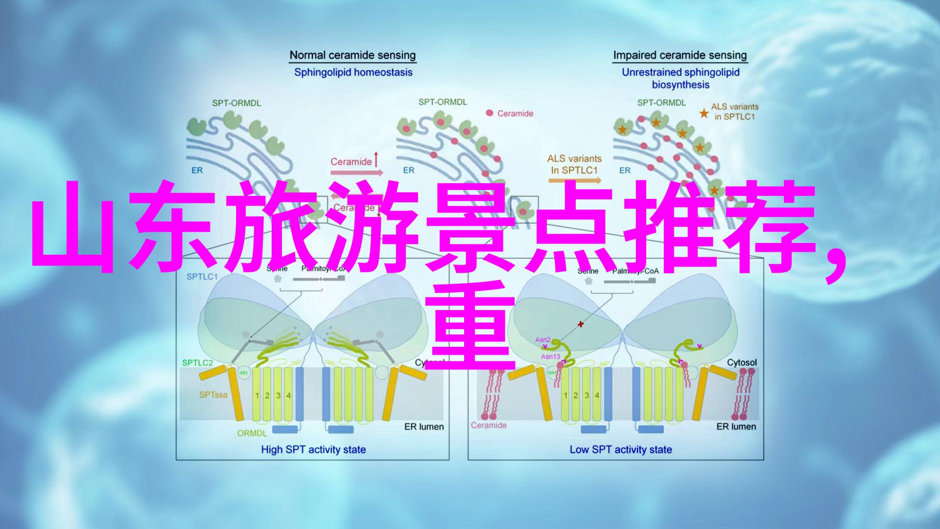 合肥奇趣游记探索金寨岩画与紫峰山公园的美丽秘密