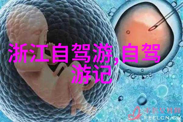 活力体验中班幼儿园户外游戏带来的快乐与成长