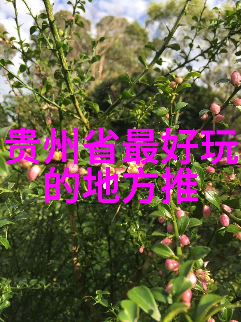 林芝到山南冰川湖泊和神秘的民族文化