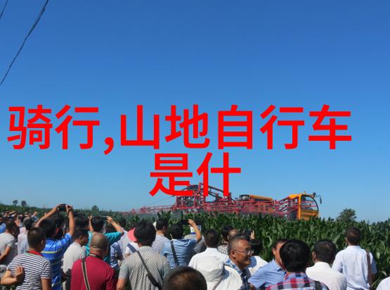 除了观光旅行者还可以做些其他什么样的活动比如户外运动艺术创作等