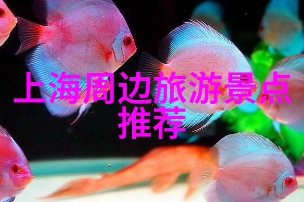 宠儿级别服务实惠价格北京人去桂林玩必备的5天行程与费率说明书