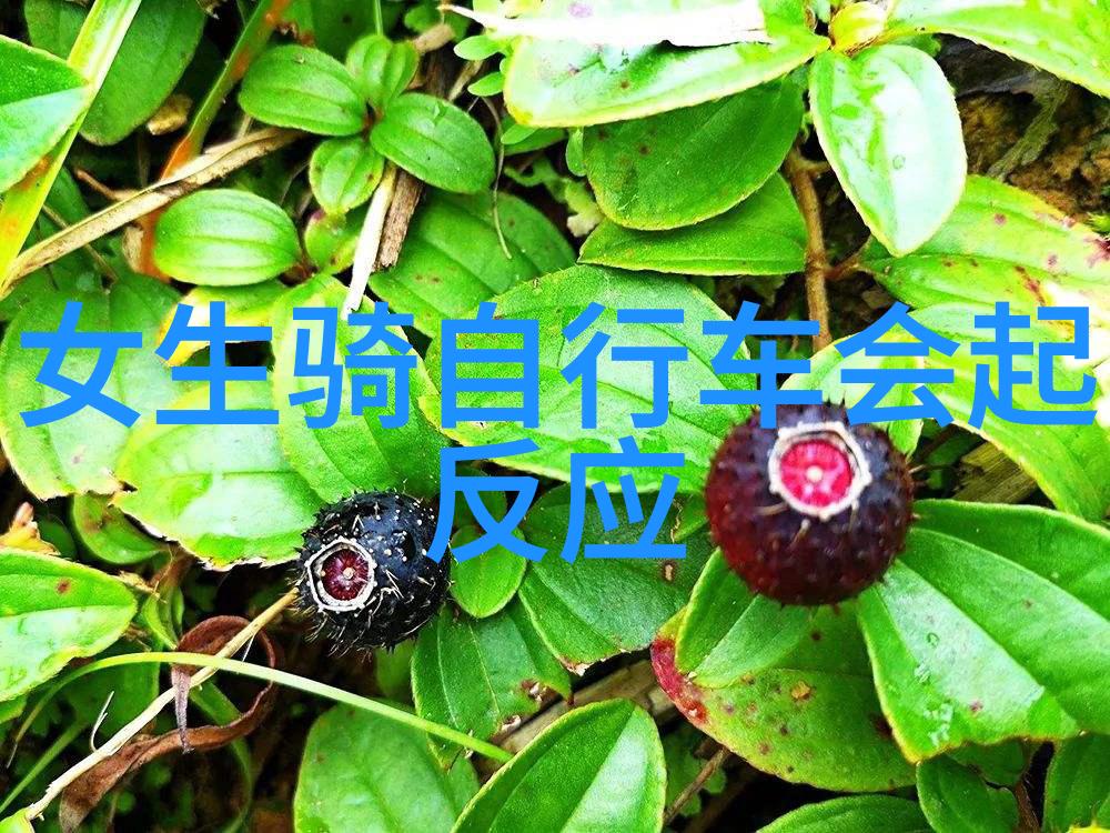 零距离体验什么是让人们热爱并且想要将其带给亲朋好友的那份特殊感受