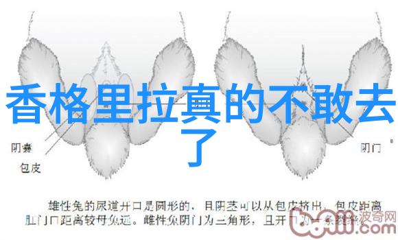 国庆假期国内旅游出游4.22亿人次我是怎么在这波大浪里也能有所收获