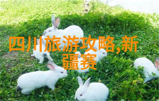 玉器之旅边塞的客人与古老的秘密